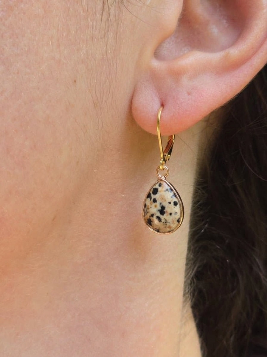 Gold Filled Dalmatian Jasper Teardrop Earrings