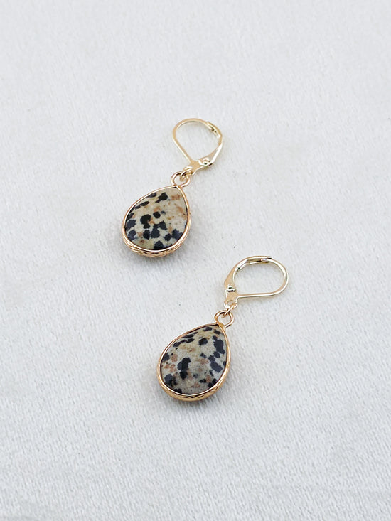 Gold-Filled Dalmatian Jasper Teardrop Earrings