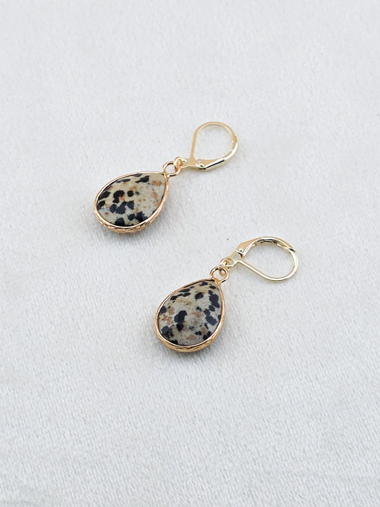 Gold-Filled Dalmatian Jasper Teardrop Earrings