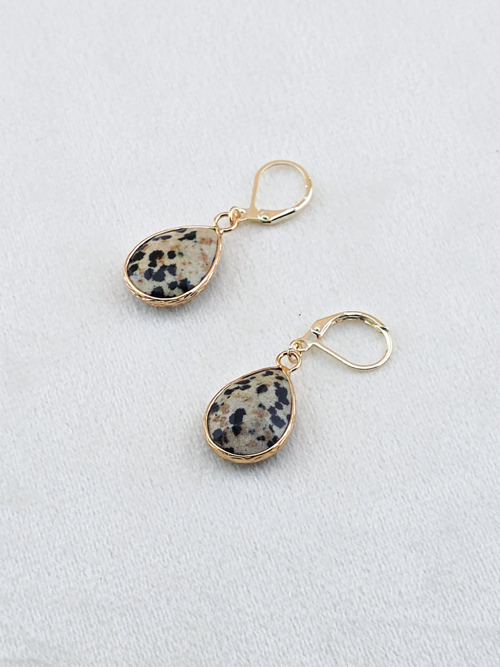 Gold-Filled Dalmatian Jasper Teardrop Earrings